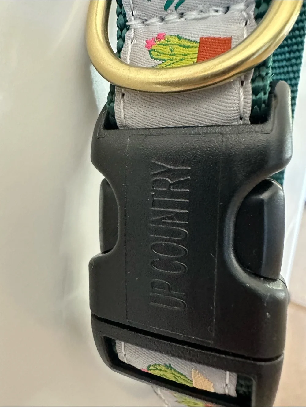 Up Country Green Cactus Print Adjustable Dog Collar with Gold Ring